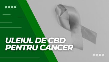 Uleiul de CBD pentru cancer